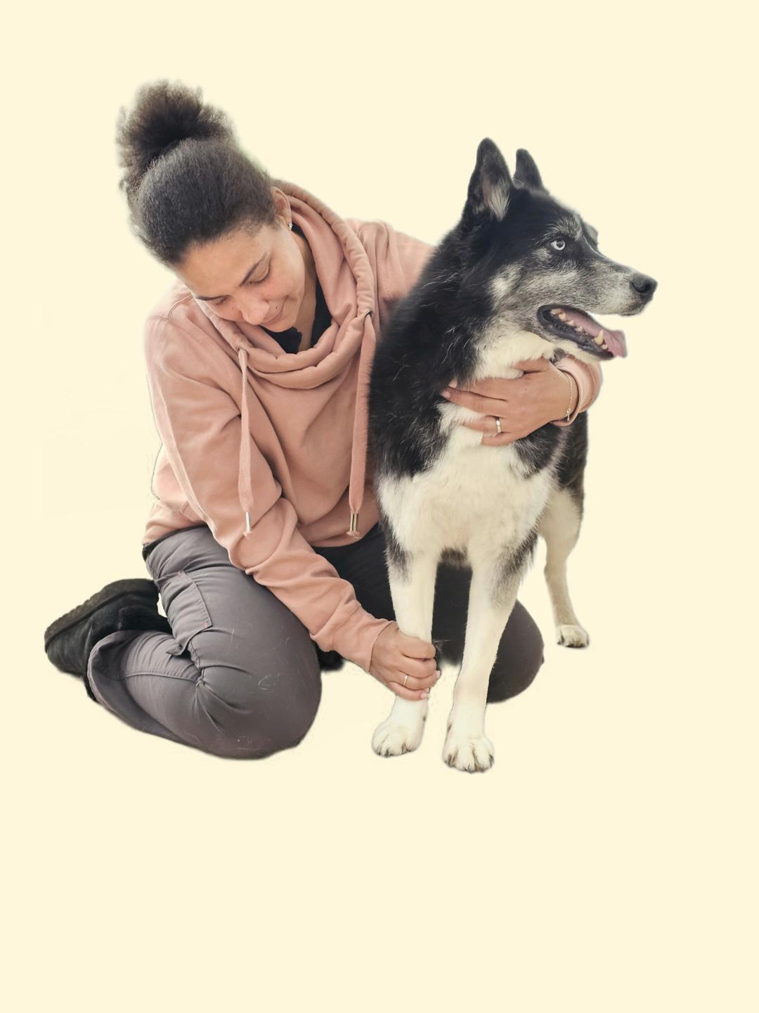 Lucky Husky
