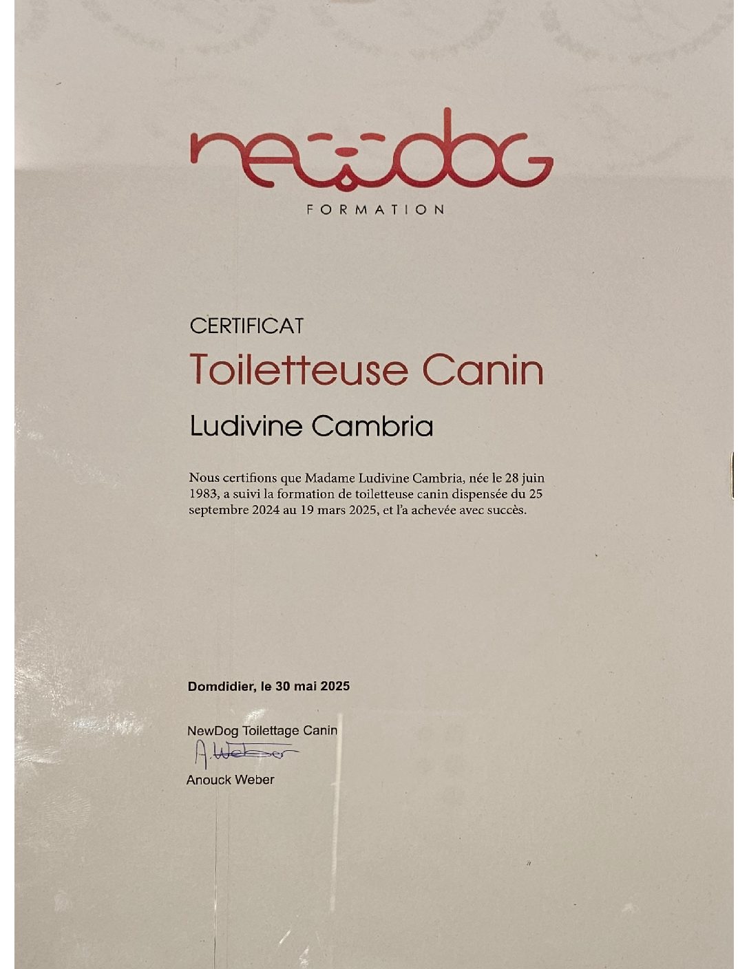Toilettage