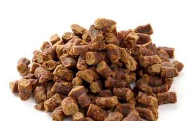 Friandise d’entrainement au Kangourou