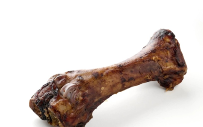 Tibia de Bœuf