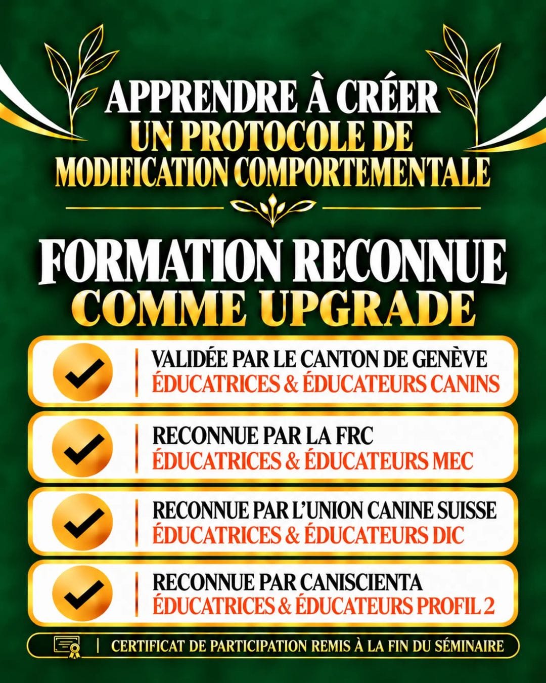 Formation_LL02